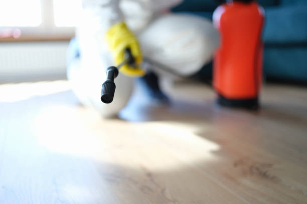 Best Biohazard Mold Removal  in Lead, SD