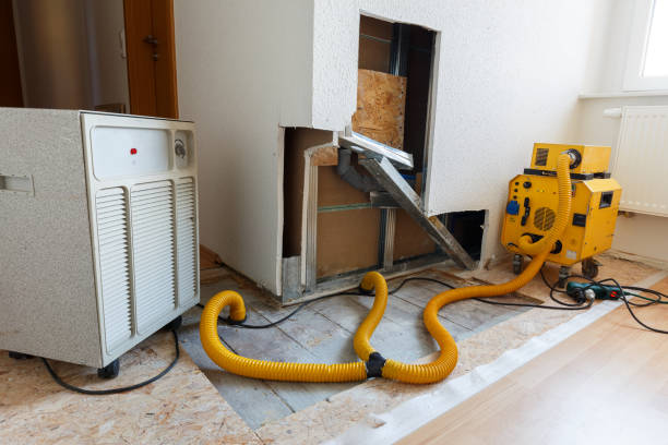 Trusted Lead, SD Mold Removal Experts