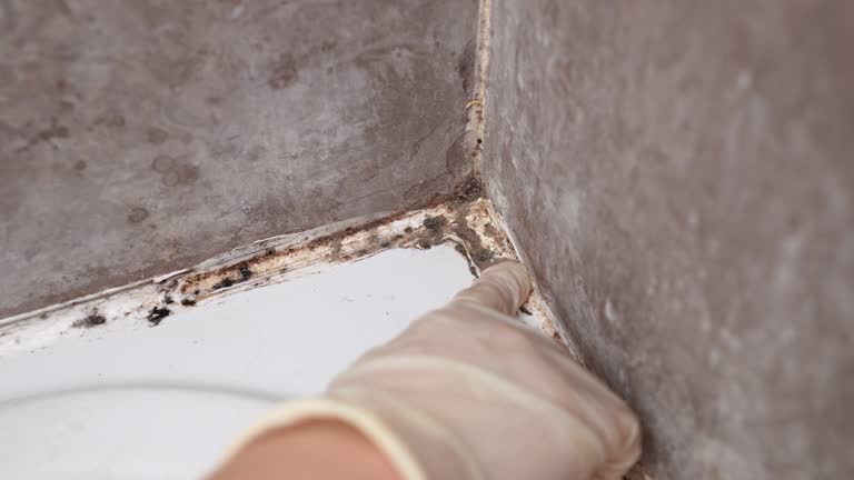 Best Indoor Air Quality Assessment  in Lead, SD